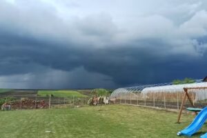 Detrehemtelepi Reform&aacute;tus templom