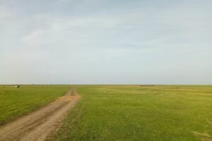 &Eacute;rendr&eacute;di K&aacute;polna