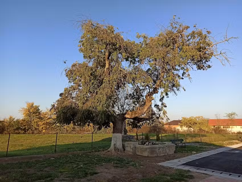 Gy&uuml;lekezeti H&aacute;z