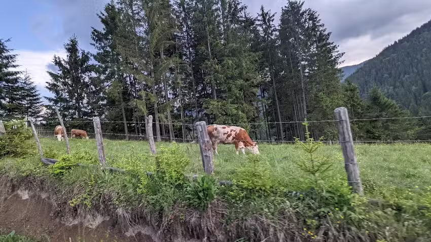 Keresztelő Szent J&aacute;nos sz&uuml;let&eacute;se templom