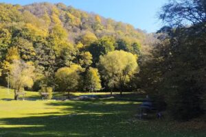 Mănăstirea Grădiștea