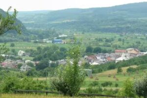 PAROHIA ORTODOXĂ SALVA