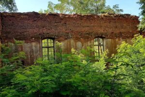 Ruinele bisericii &bdquo;Craiva Veche&rdquo;