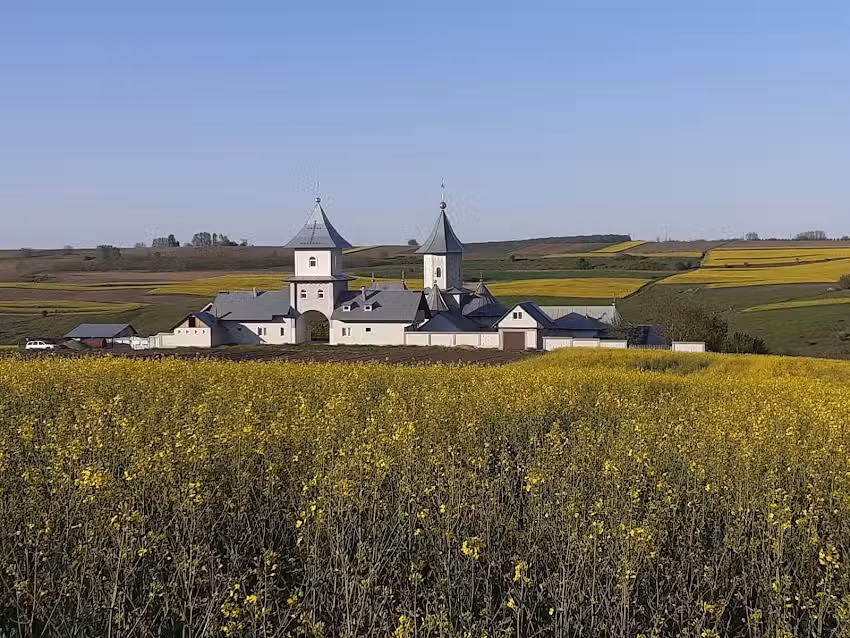 Schitul M.D. Portarita