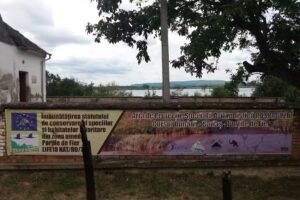 Црква светог арханђела Михаила