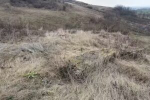 Vechea Biserica Sf. Trei Ierarhi (ruine)